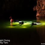 What Is Night Diving Night Diving Tips small