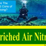 What are the Pros and cons of nitrox diving small