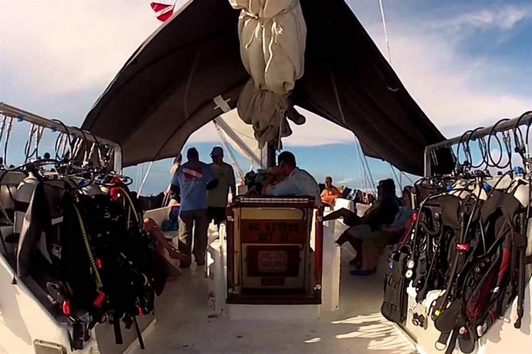 What are the pros and cons of the Bahamas Blackbeards Morning Star Liveaboard