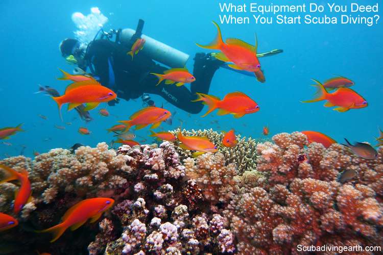 What equipment do you need when you start scuba diving for beginner scuba divers