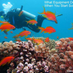 Scuba Diving Equipment Essentials (What Do You Need To Start Diving?)