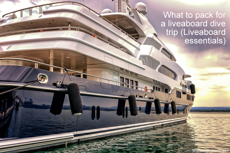What to pack for a liveaboard dive trip - Liveaboard essentials