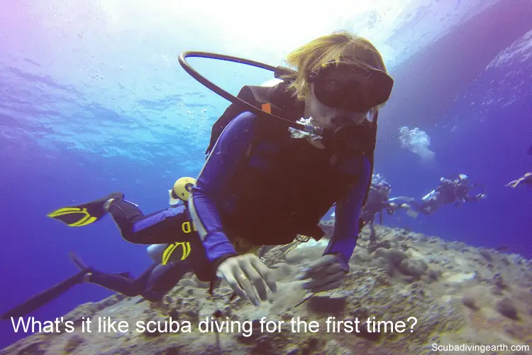 What's it like scuba diving for the first time