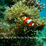Where do you fly into to go to the Great Barrier Reef small