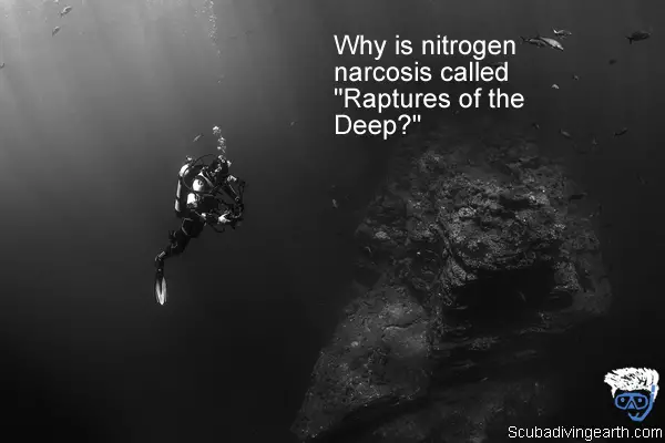 Why is nitrogen narcosis called Raptures of the Deep