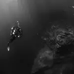 Why is nitrogen narcosis called "Raptures of the Deep?"