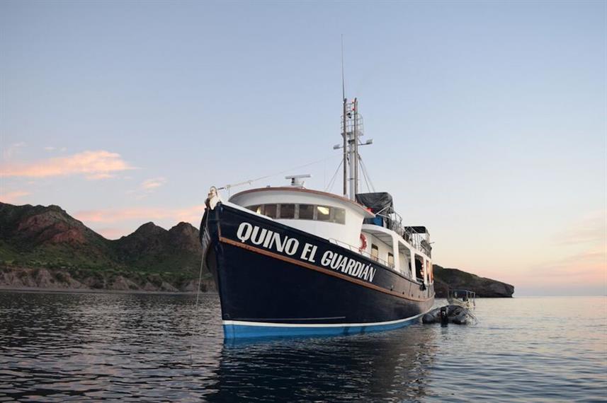 MV Quino el Guardian Mexico Sea of Cortez Liveaboard Diving Review