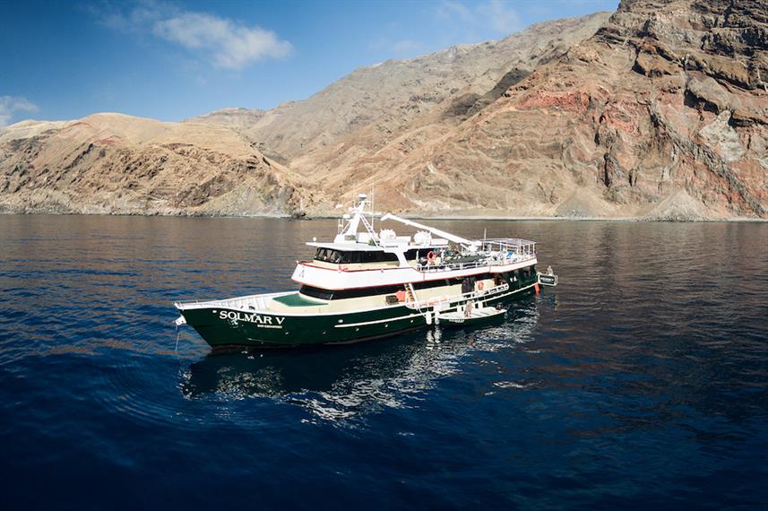 MV Solmar V Mexico Guadalupe Island Liveaboard Diving Review