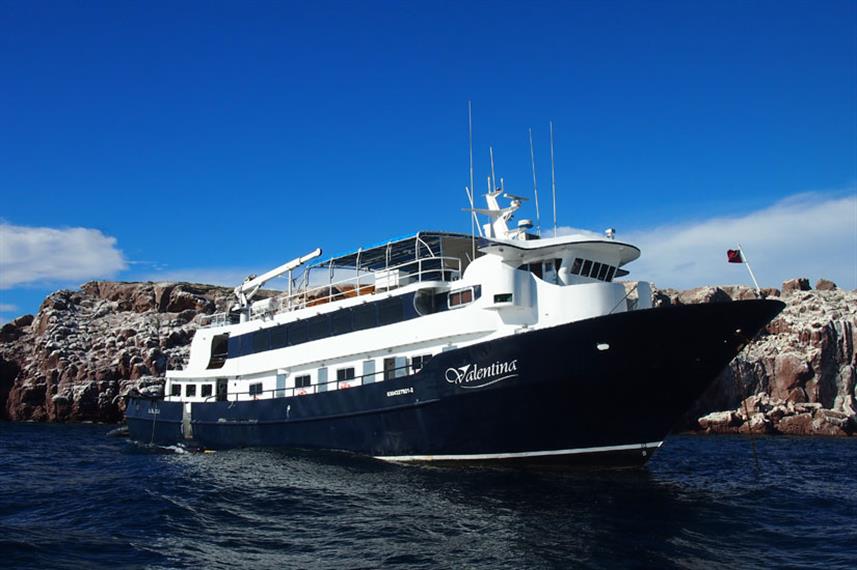 MV Valentina Mexico Sea of Cortez Liveaboard Diving Review